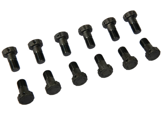 GM 12 Bolt 3/8 Ring Gear Bolt Kit (12 pack)