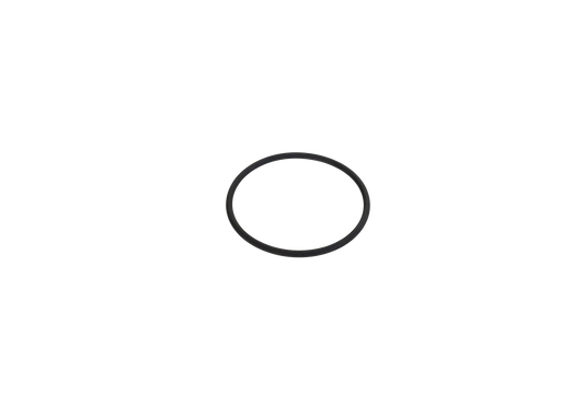 Replacement Fuel Filter Housing Oring for filter PN 27-170 thru 27-175 - Motion Raceworks